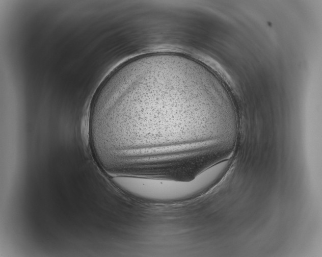 X0000102281228200808081455