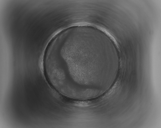 X0000102281229200808081455