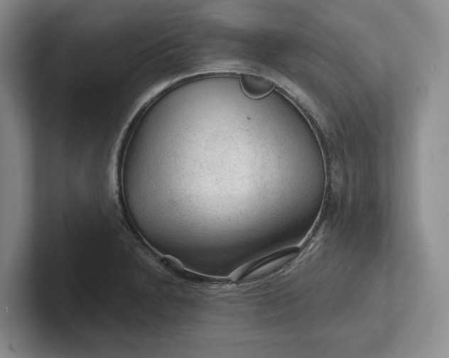 X0000102281230200808081455