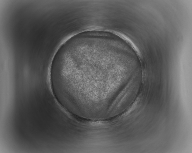 X0000102281231200808081455