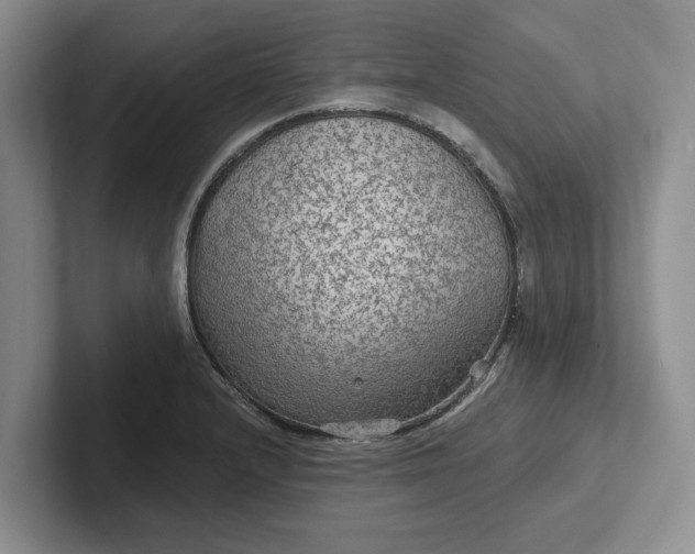 X0000102281232200808081455