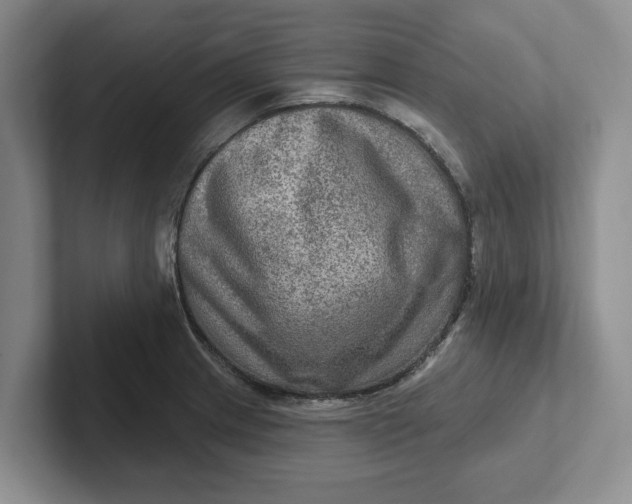 X0000102281233200808081455