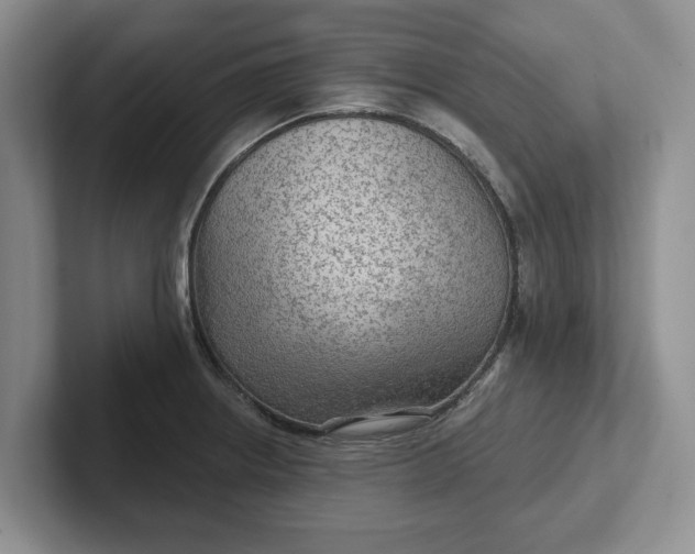 X0000102281234200808081455