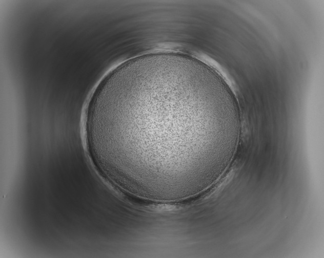 X0000102281235200808081455