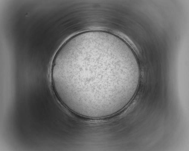 X0000102281236200808081455