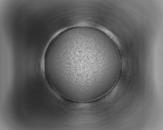 X0000102281238200808081455