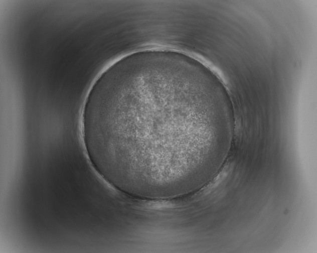 X0000102281239200808081455