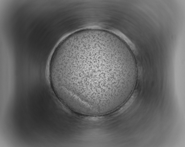 X0000102281240200808081455