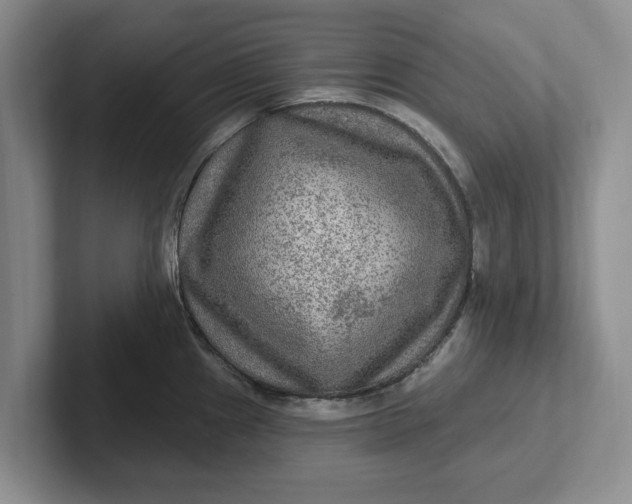 X0000102281241200808081455