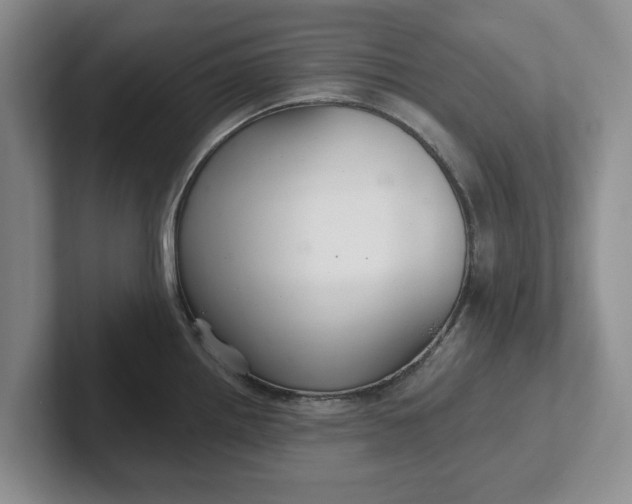 X0000102281242200808081455