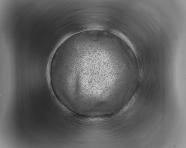 X0000102281243200808081455