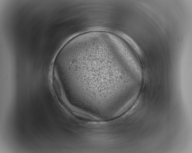 X0000102281244200808081455