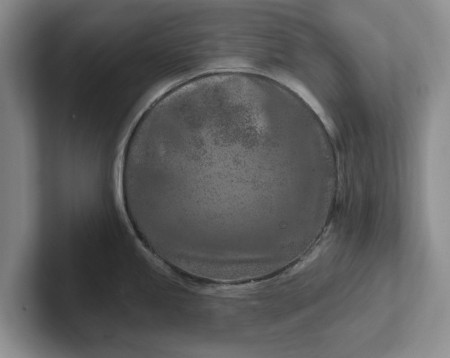 X0000102281245200808081455