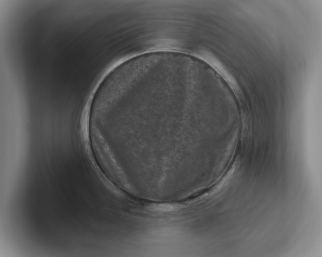 X0000102281246200808081455