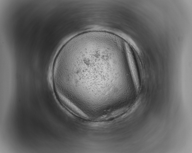 X0000102281247200808081455