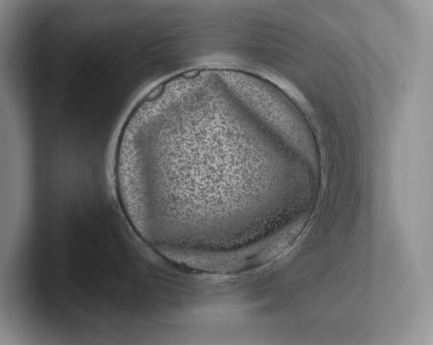 X0000102281248200808081455