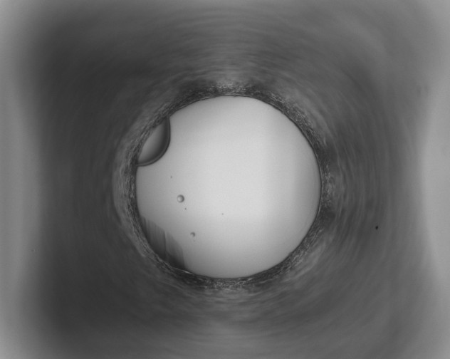 X0000102281249200808081455