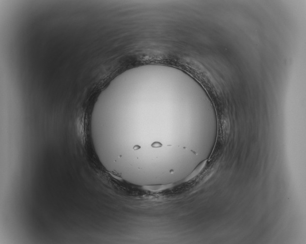 X0000102281250200808081455