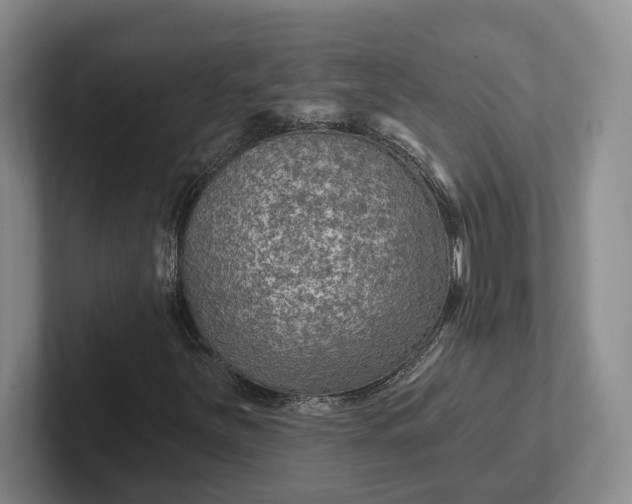 X0000102281251200808081455