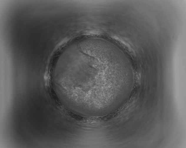 X0000102281254200808081455