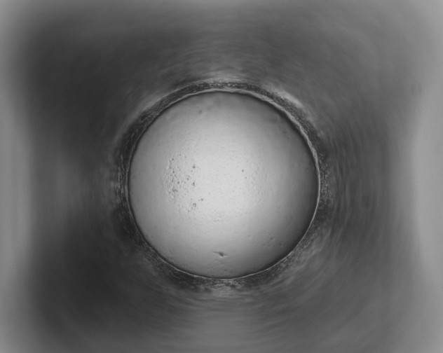 X0000102281255200808081455