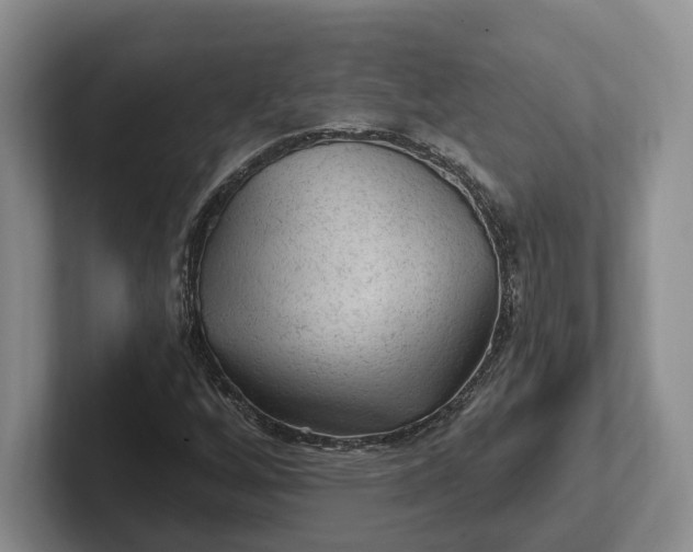 X0000102281256200808081455