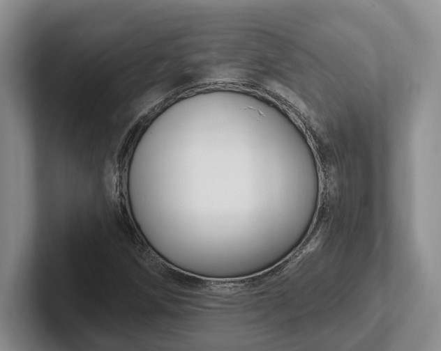 X0000102281258200808081455