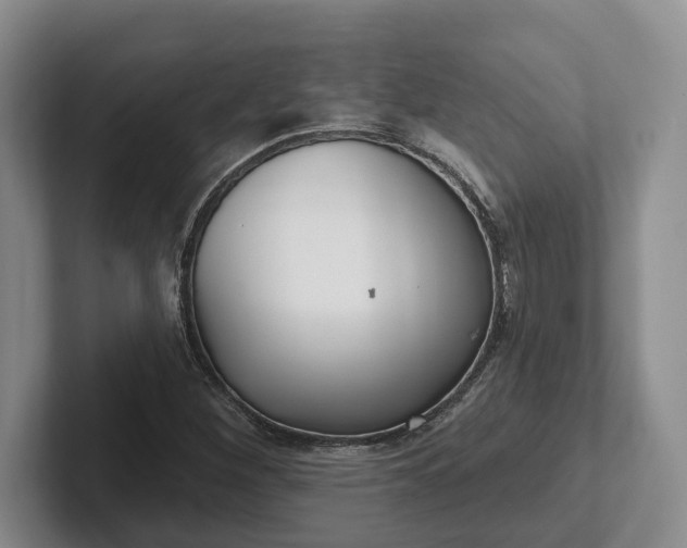 X0000102281260200808081455