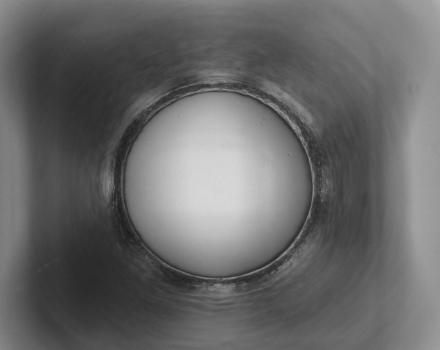 X0000102281261200808081455