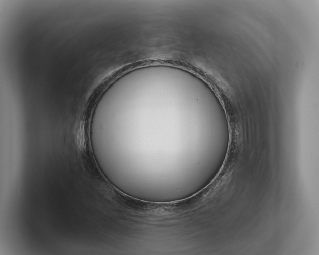 X0000102281262200808081455