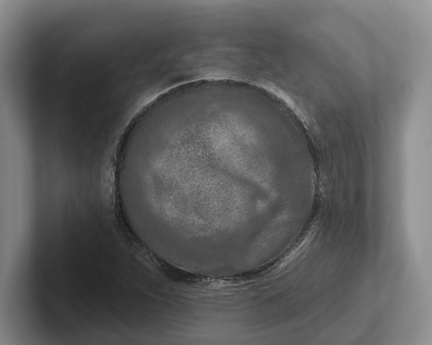 X0000102281263200808081455