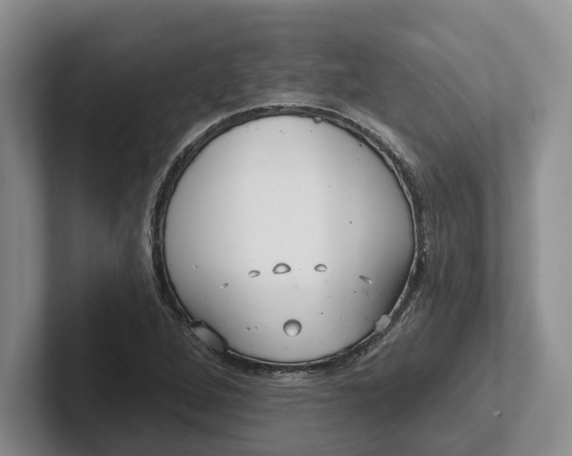 X0000102281264200808081455