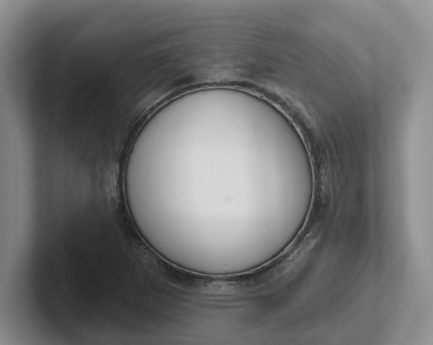 X0000102281265200808081455