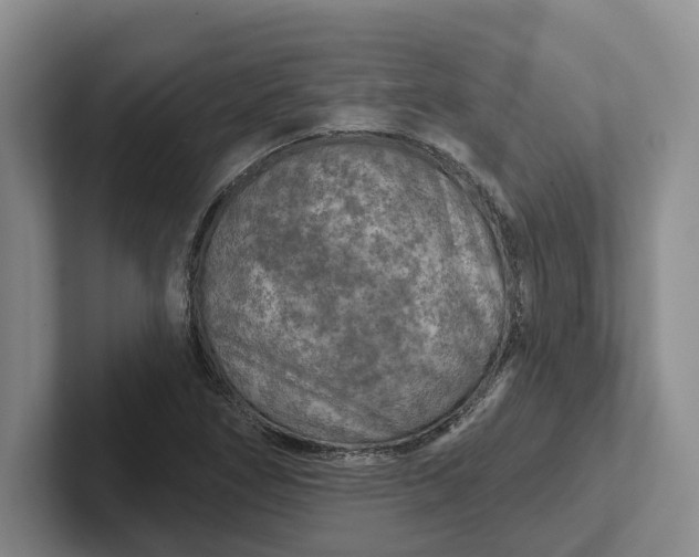 X0000102281266200808081455