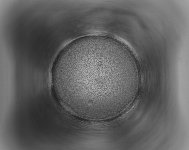 X0000102281267200808081455