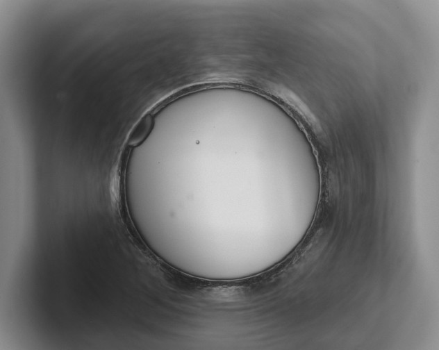 X0000102281268200808081454