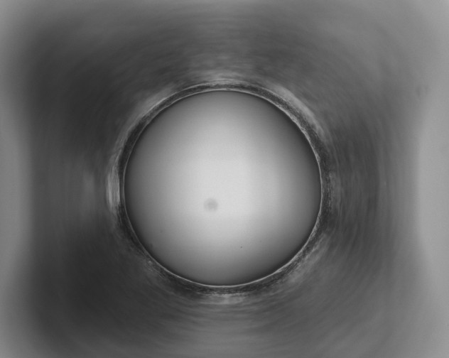 X0000102281269200808081454