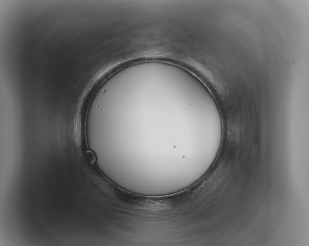 X0000102281270200808081454