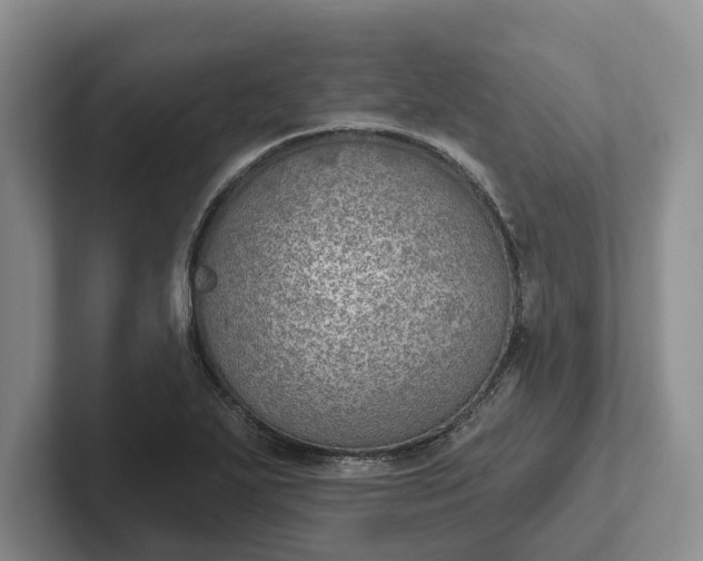 X0000102281271200808081454