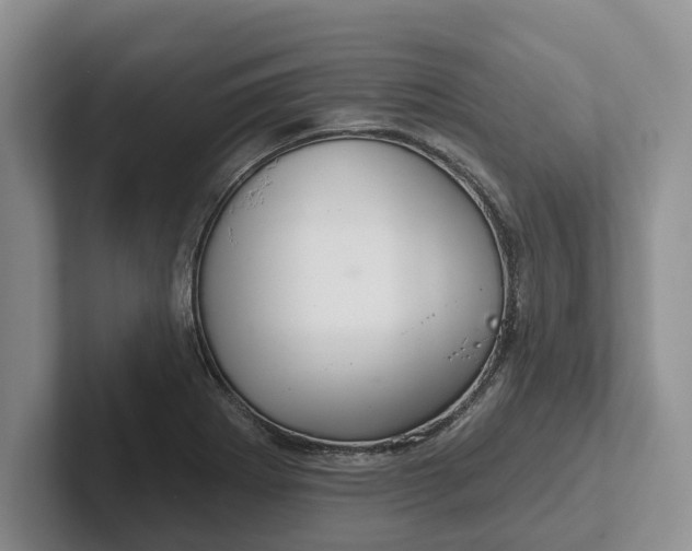 X0000102281273200808081454