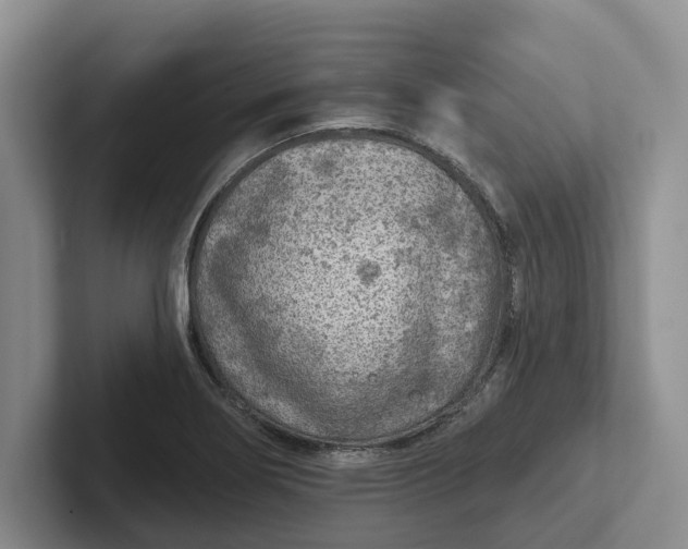 X0000102281274200808081454