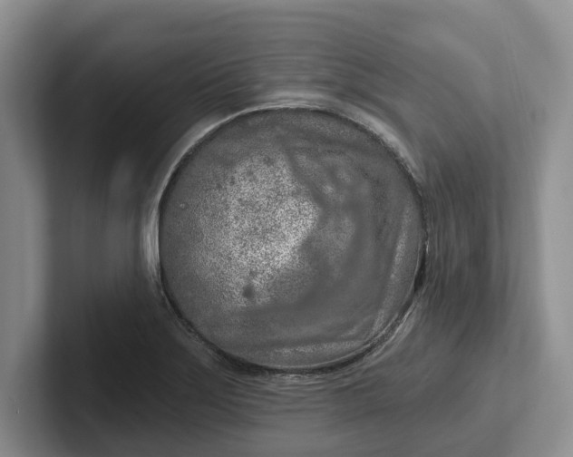 X0000102281275200808081454