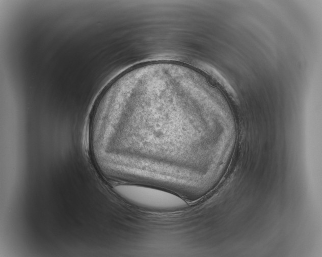 X0000102281276200808081454