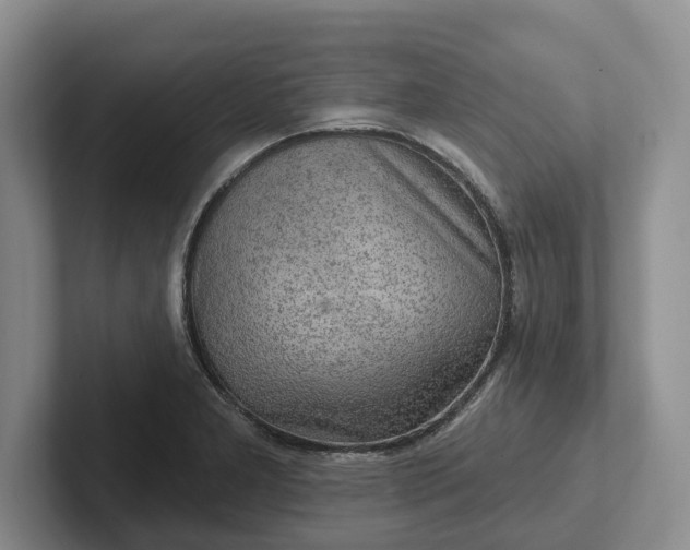 X0000102281277200808081454