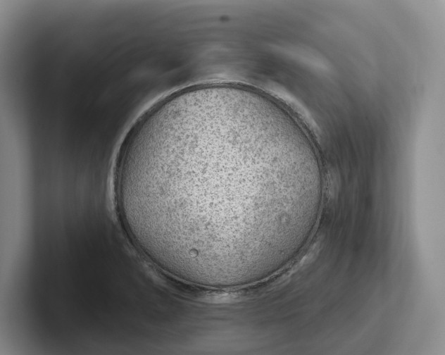 X0000102281278200808081454