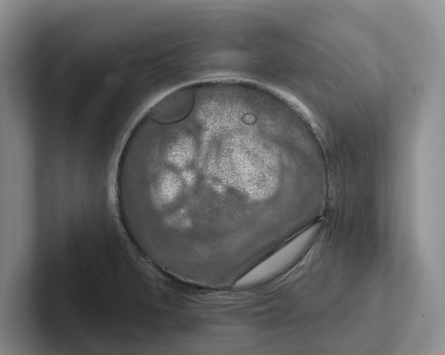 X0000102281279200808081454