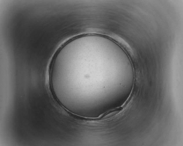 X0000102281280200808081454