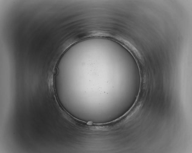 X0000102281281200808081454