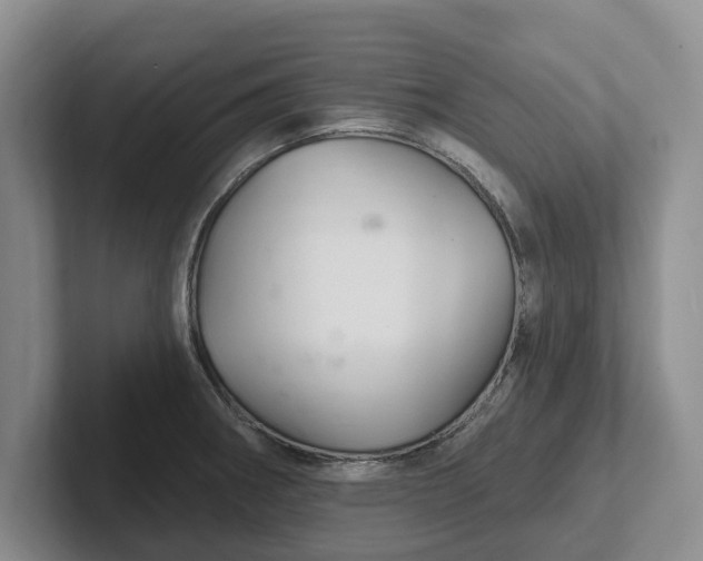 X0000102281282200808081454