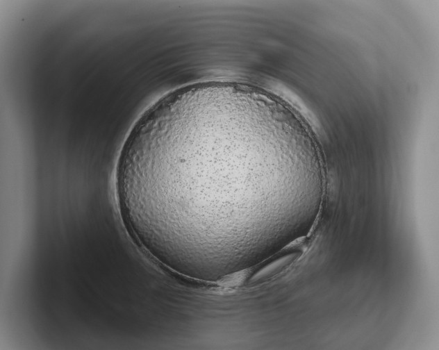 X0000102281283200808081454